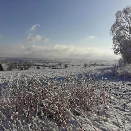 In Ardennes With Scenic Garden Lejlighed