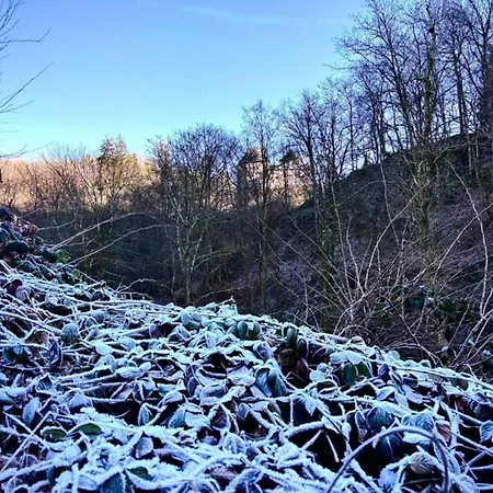 In Ardennes With Scenic Garden Lejlighed *