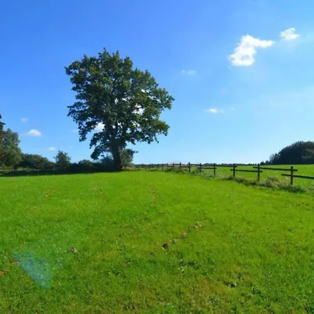 In Ardennes With Scenic Garden Lejlighed Amblève