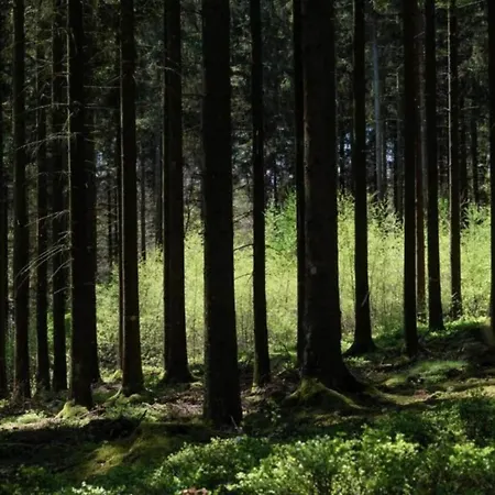 In Ardennes With Scenic Garden *