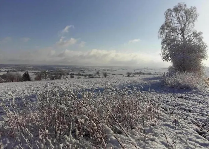 In Ardennes With Scenic Garden Apartment