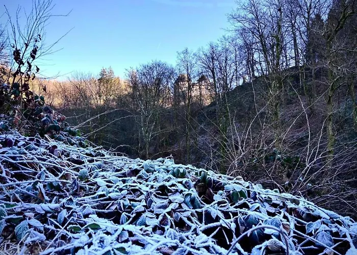 In Ardennes With Scenic Garden Apartment *