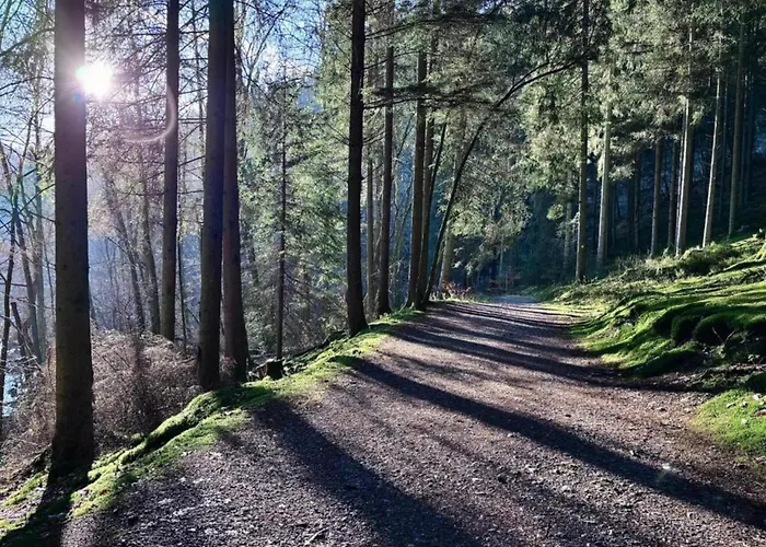 In Ardennes With Scenic Garden * Ambleve