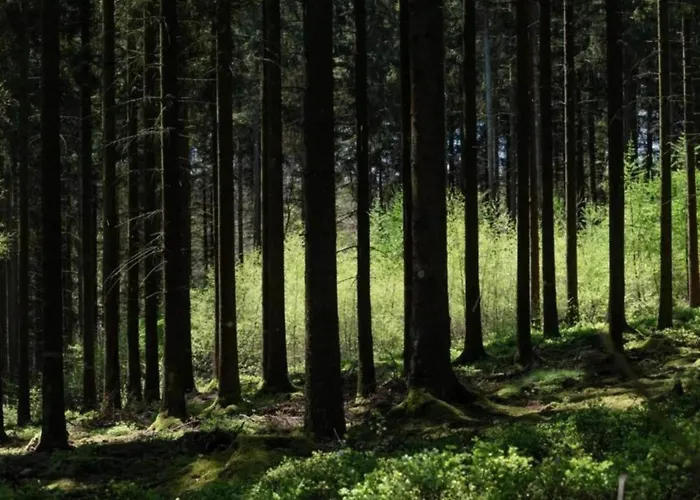 In Ardennes With Scenic Garden *